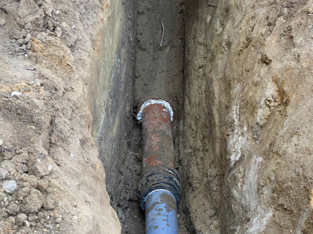 Best Professional water damage repair  in Ashton Sandy Spring, MD