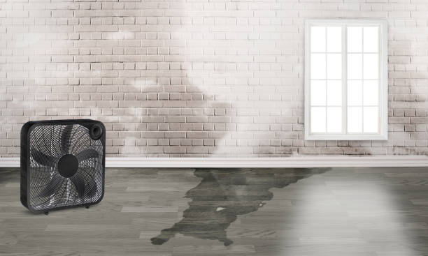 Best Commercial water damage restoration  in Ashton Sandy Spring, MD