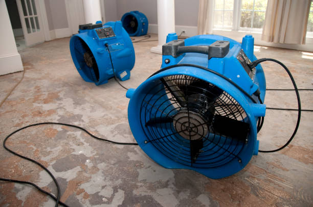 Best Carpet water damage restoration  in Ashton Sandy Spring, MD