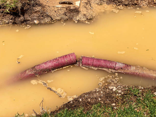 Best Flood damage cleanup  in Ashton Sandy Spring, MD